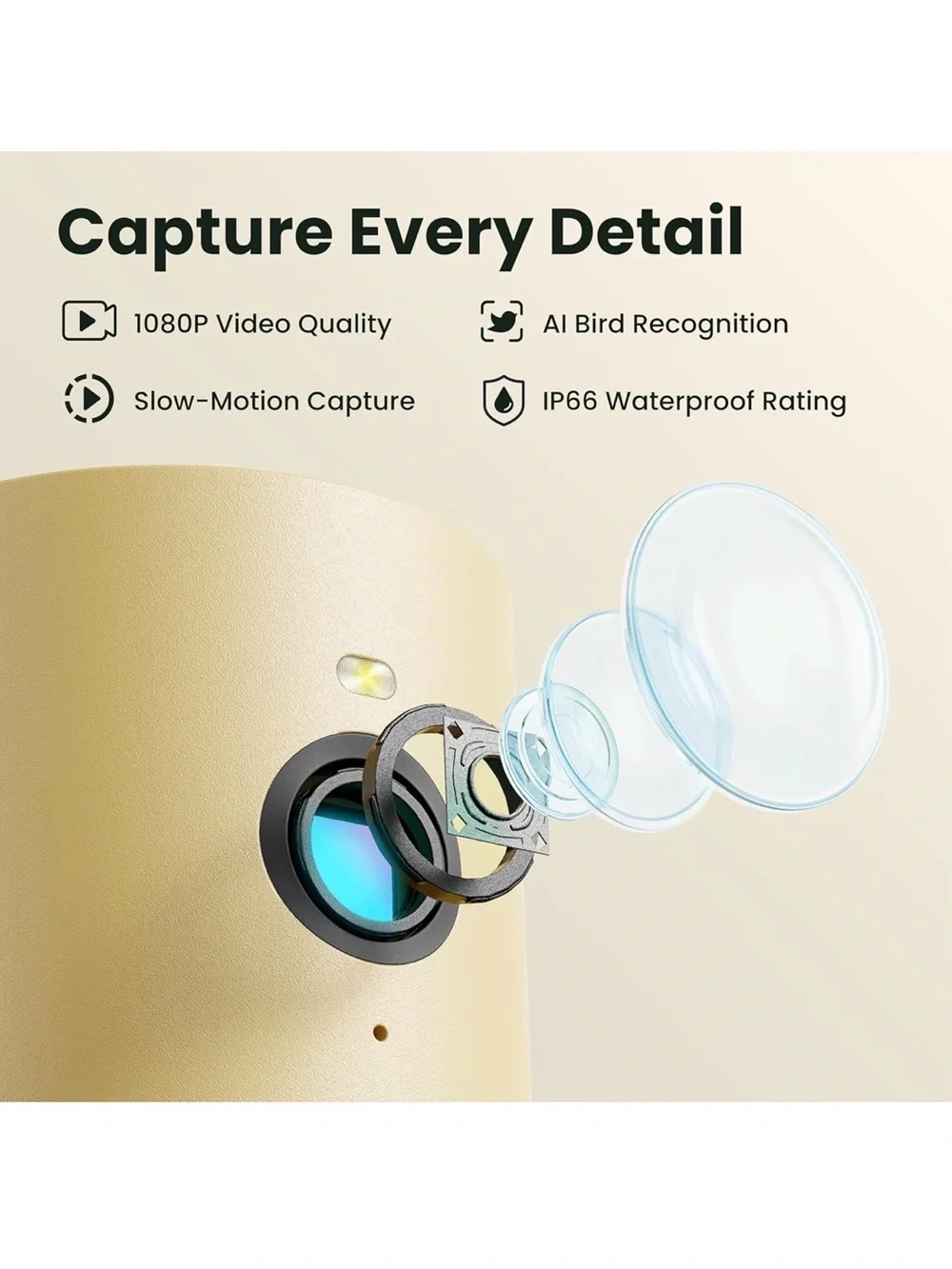 Birdfy Smart Bird Feeder with Camera Solar Powered